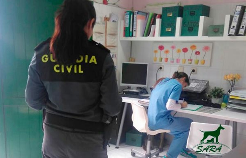 El Seprona ha conseguido identificar a los presuntos maltratadores, que han sido imputados.