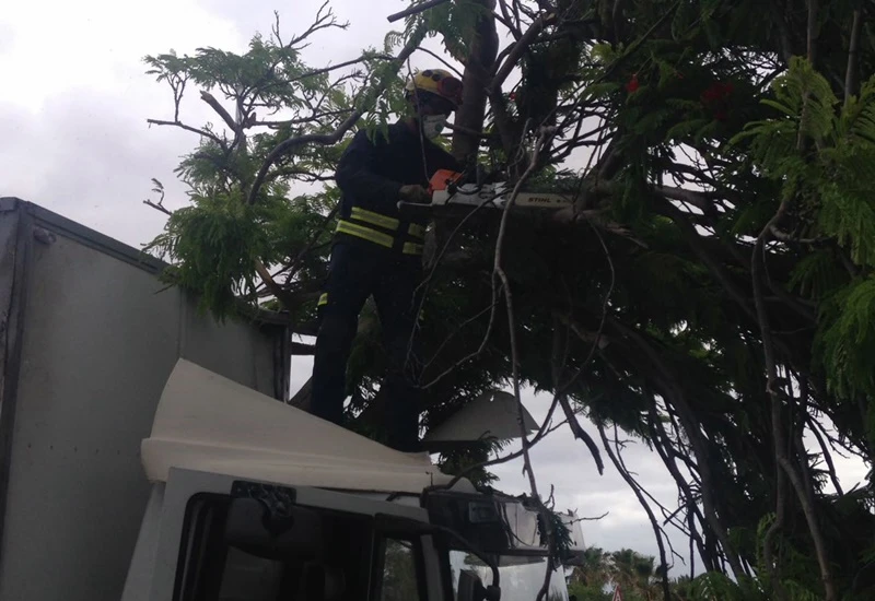 Un camión choca contra un árbol en Playa Blanca y se queda atascado ...