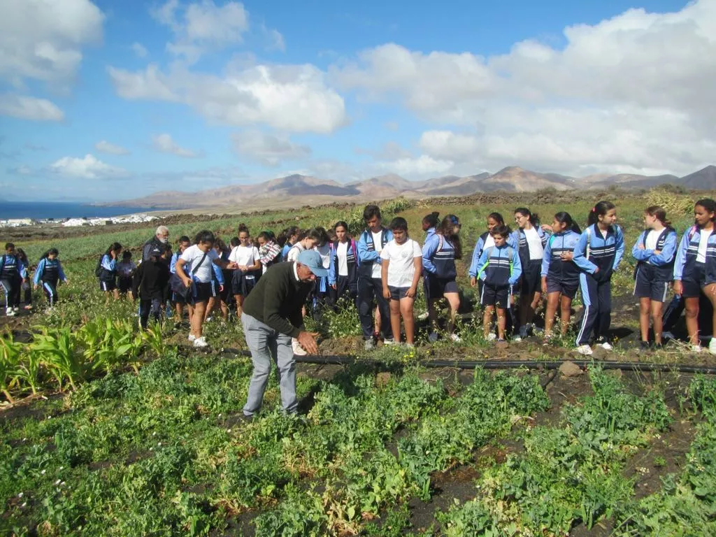 Opresor Pavimentación Autocomplacencia Alimentación saludable y conservación del paisaje agrícola, entre los  escolares - Lancelot Digital