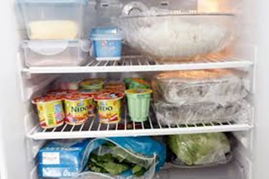 Objetivo Santuario Enemistarse El sistema de refrigeración más innovador para la conservación de los  alimentos - Lancelot Digital