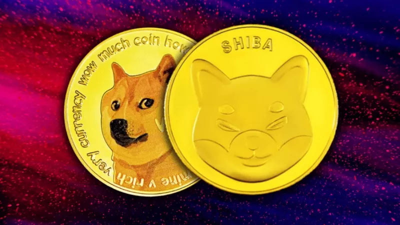 Shiba Inu and Dogecoin pose problems in their price
