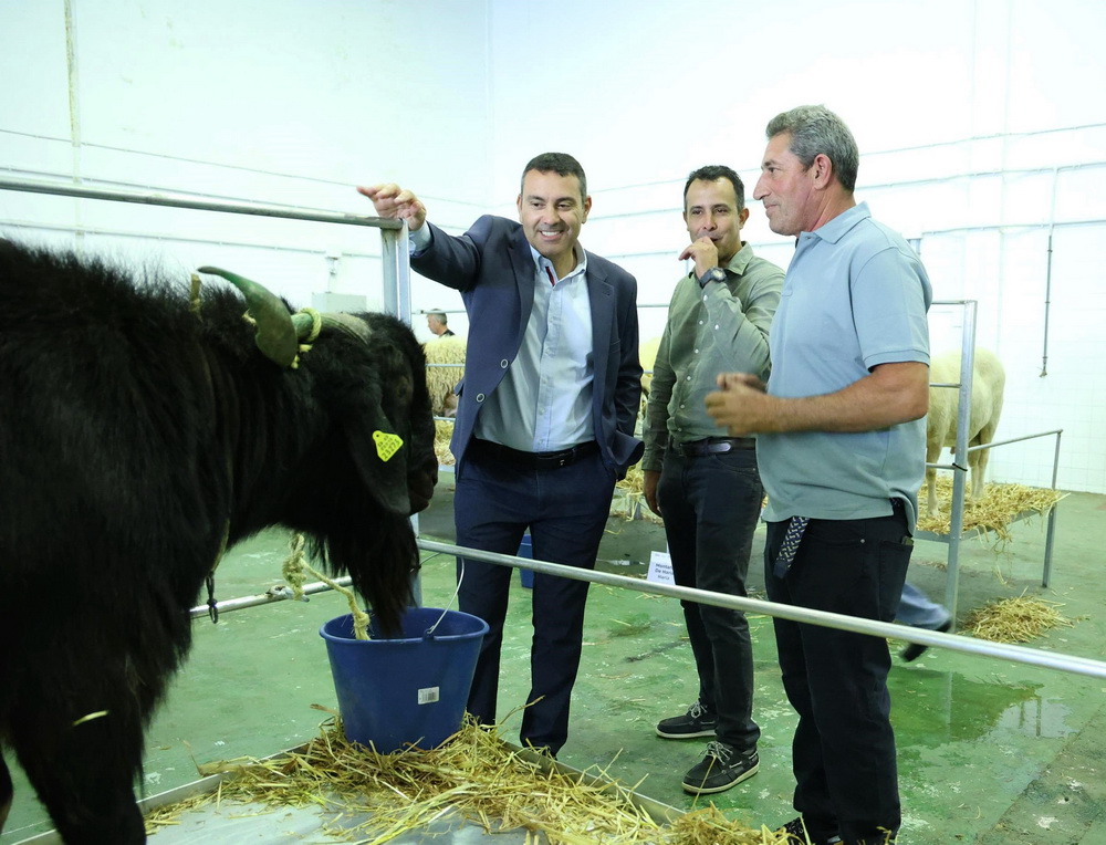 El Cabildo destina 50.000 € en ayudas al sector ganadero