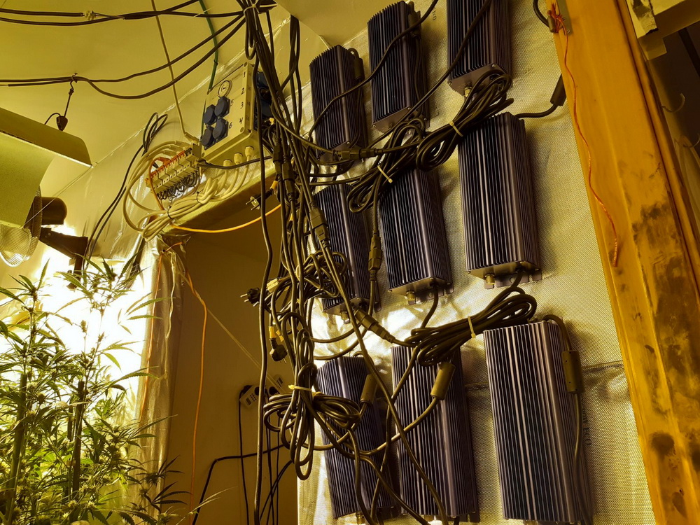 Endesa fraudes electricos