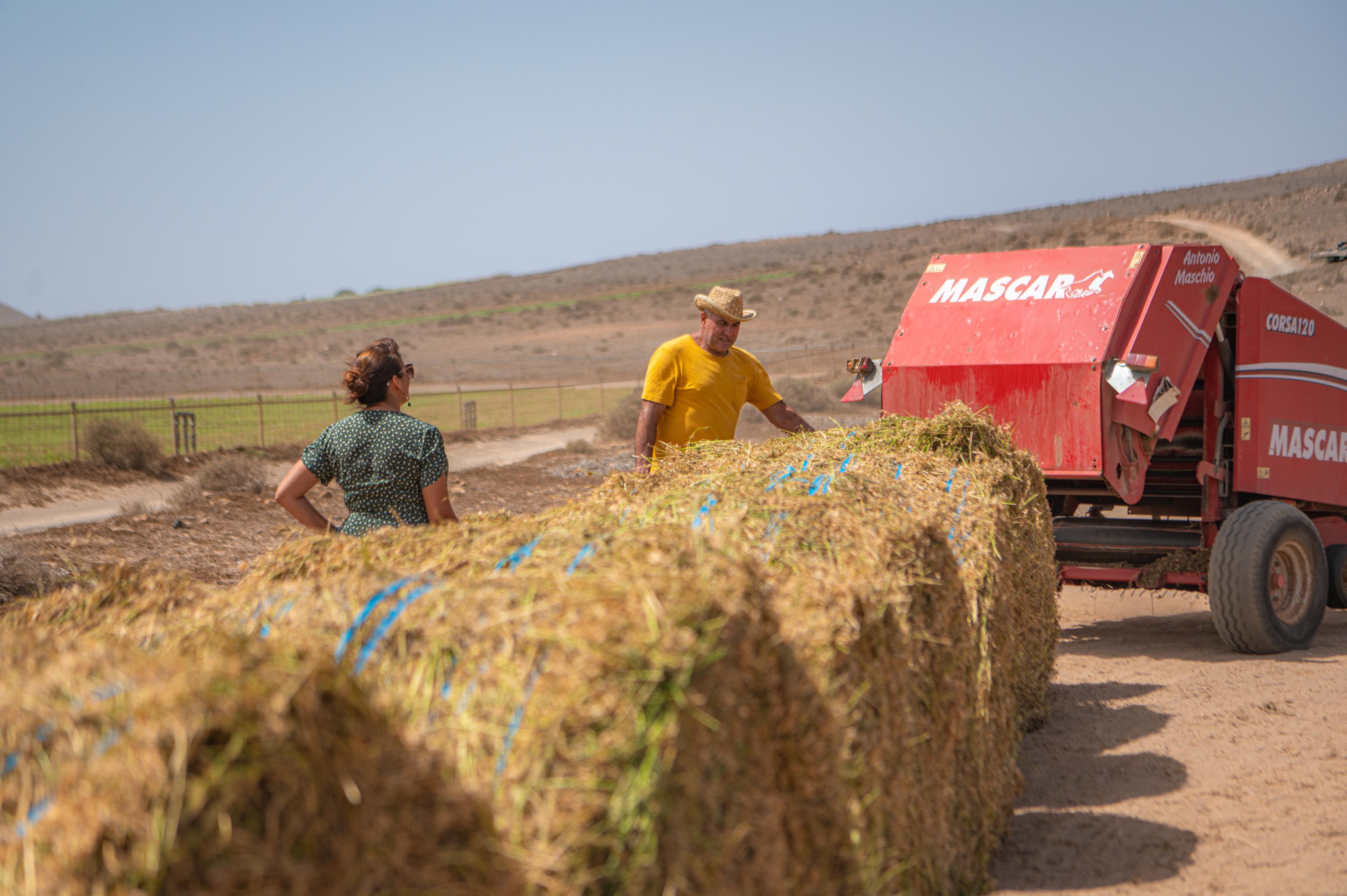 También se formaliza la cesión de una parcela utilizada previamente en un proyecto piloto para el cultivo de alfalfa También se formaliza la cesión de una parcela utilizada previamente en un proyecto piloto para el cultivo de alfalfa
