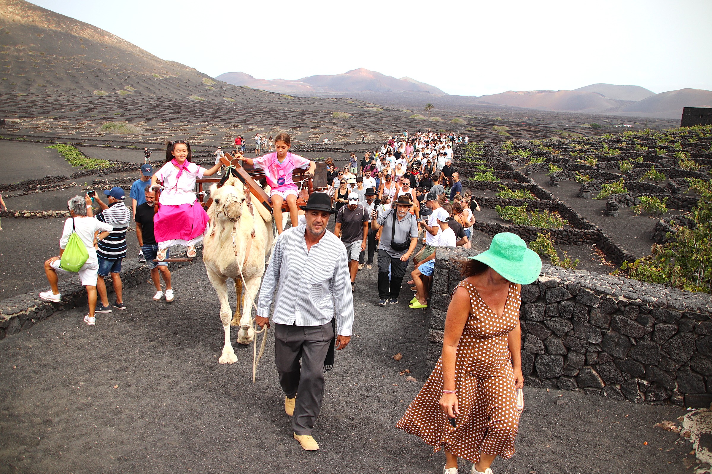 vedimia tradicional la geria