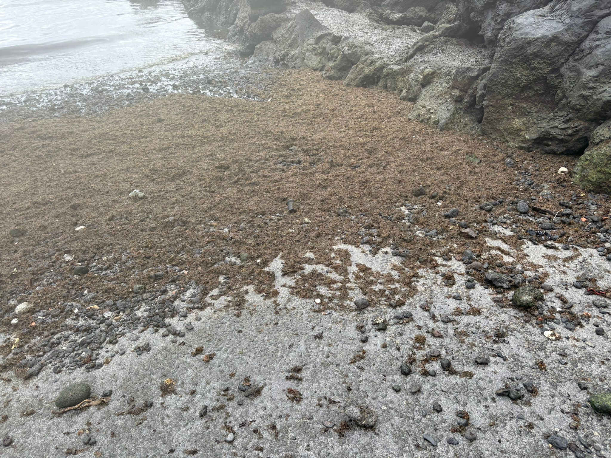 Haría niega que haya aguas residuales en Punta Mujeres