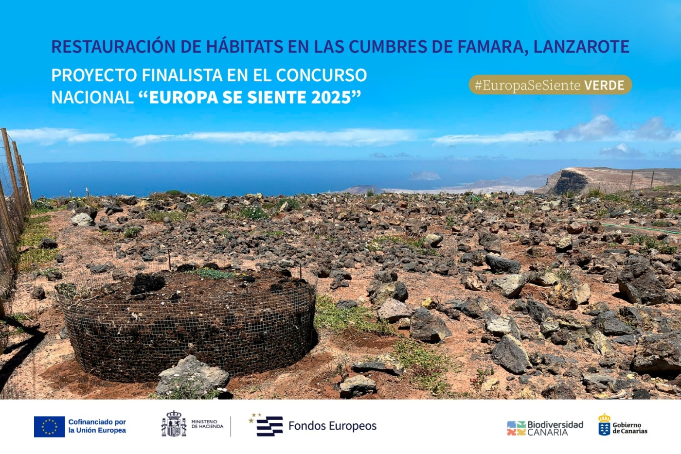 La iniciativa de la Consejería de Transición Ecológica y Energía del Gobierno de Canarias recibe reconocimiento nacional entre más de 240 candidaturas La iniciativa de la Consejería de Transición Ecológica y Energía del Gobierno de Canarias recibe reconocimiento nacional entre más de 240 candidaturas