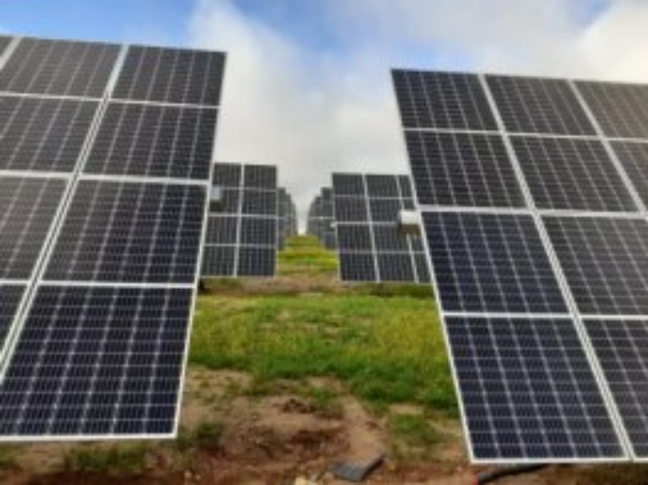 Placas solares Endesa