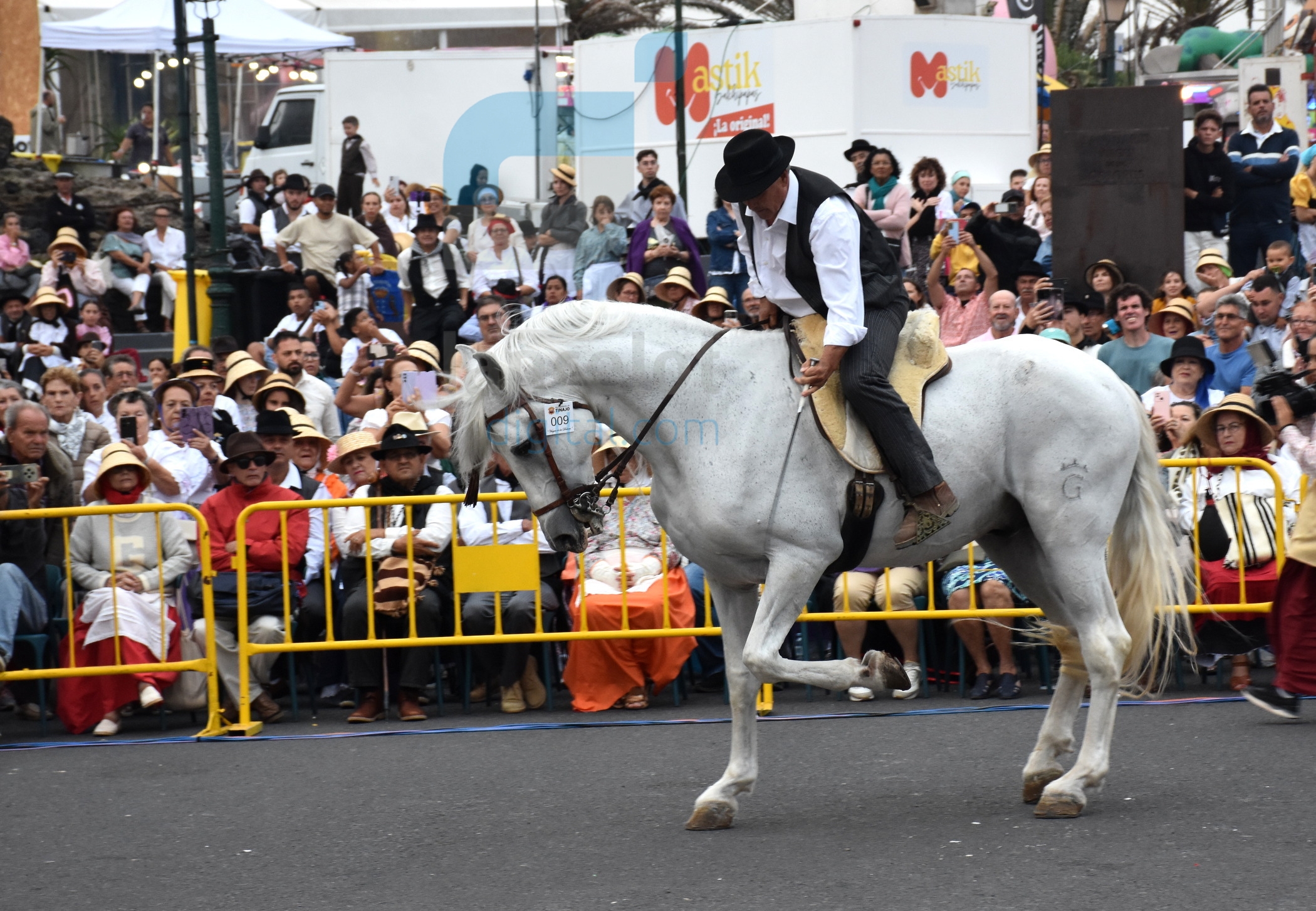 caballo en los dolores