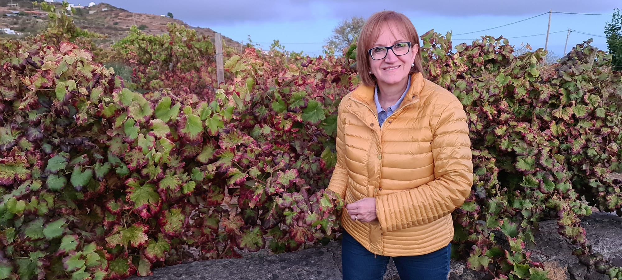 María Francesca Fort Marsal, catedrática de la Facultad de Enología de la Universidad de Tarragona, ofrece una solución para la vid canaria