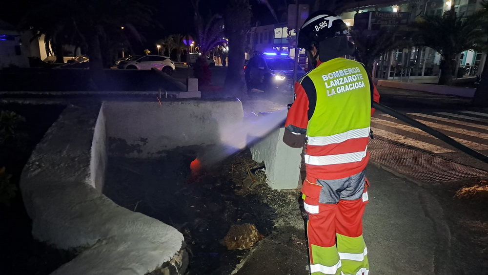 Incendio Palmera Puerto del Carmen