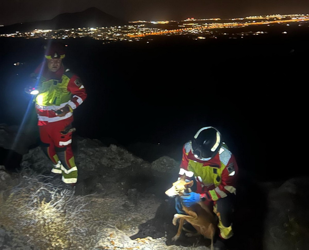 Rescate de podenco en Teguise1