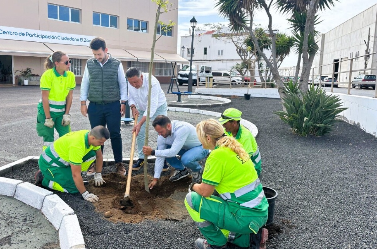 Arrecife verde Arrecife verde