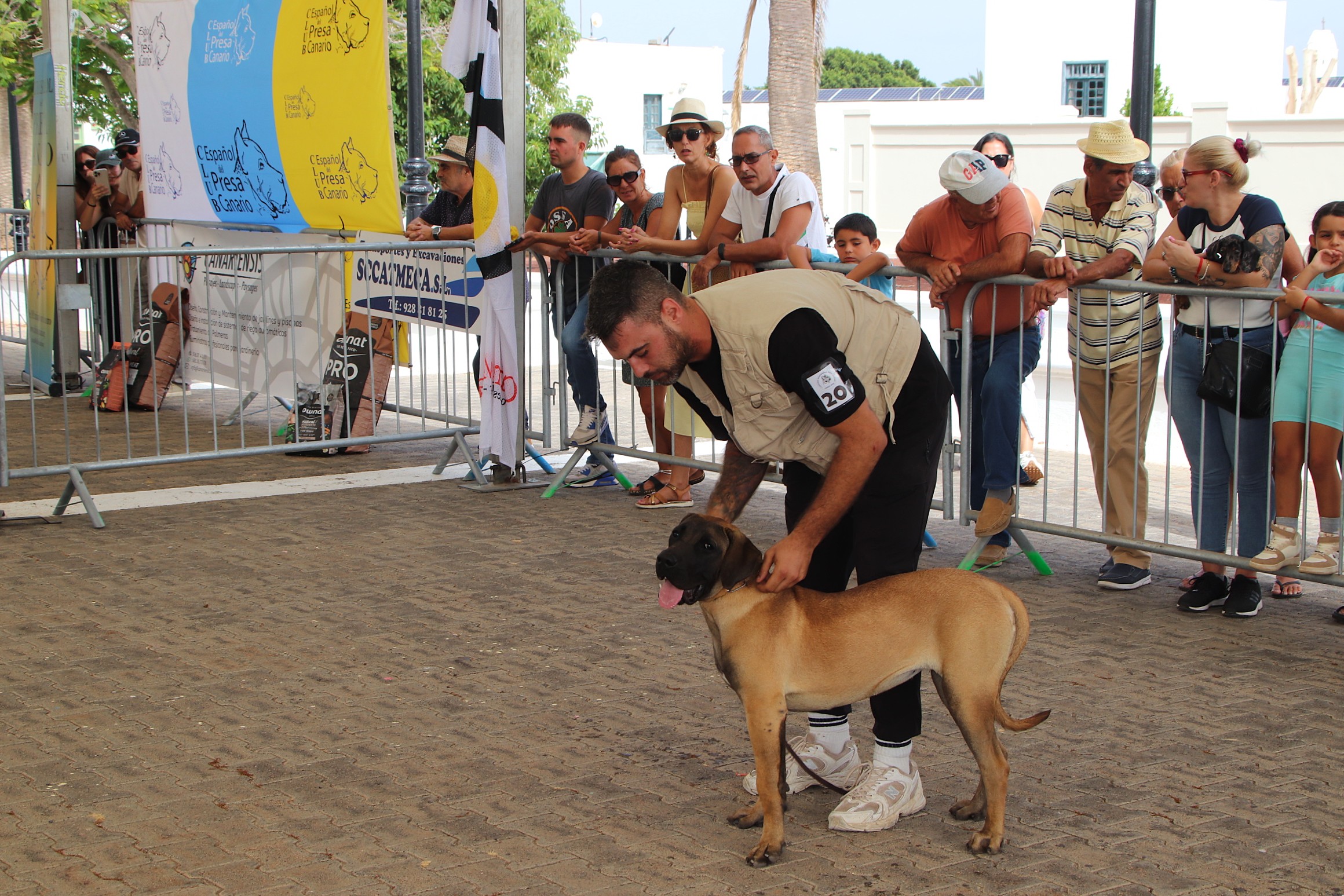 Más de treinta ejemplares de Lanzarote y Gran Canaria participan del encuentro didáctico sobre las características de la raza