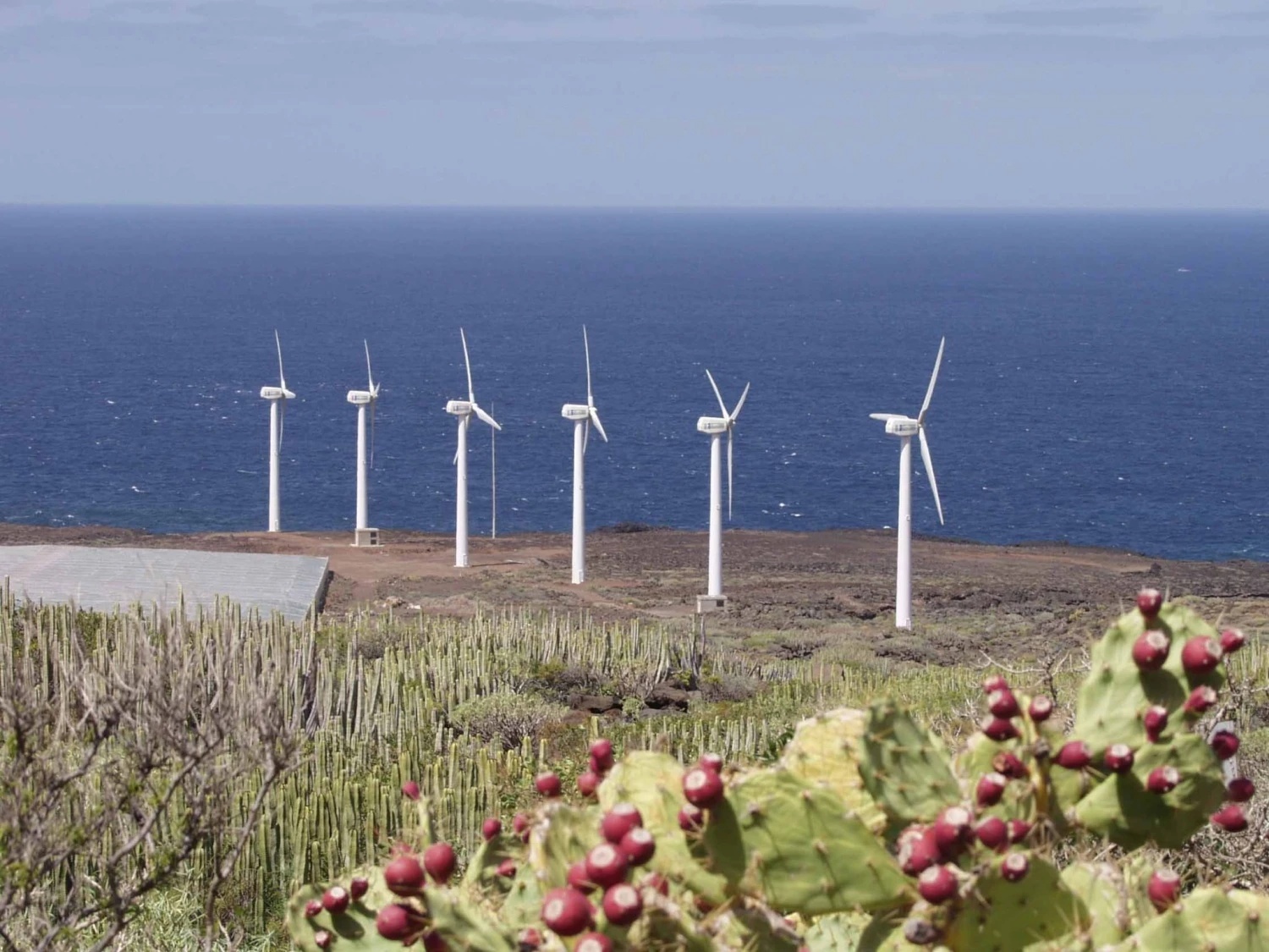 eólicas frente al mar