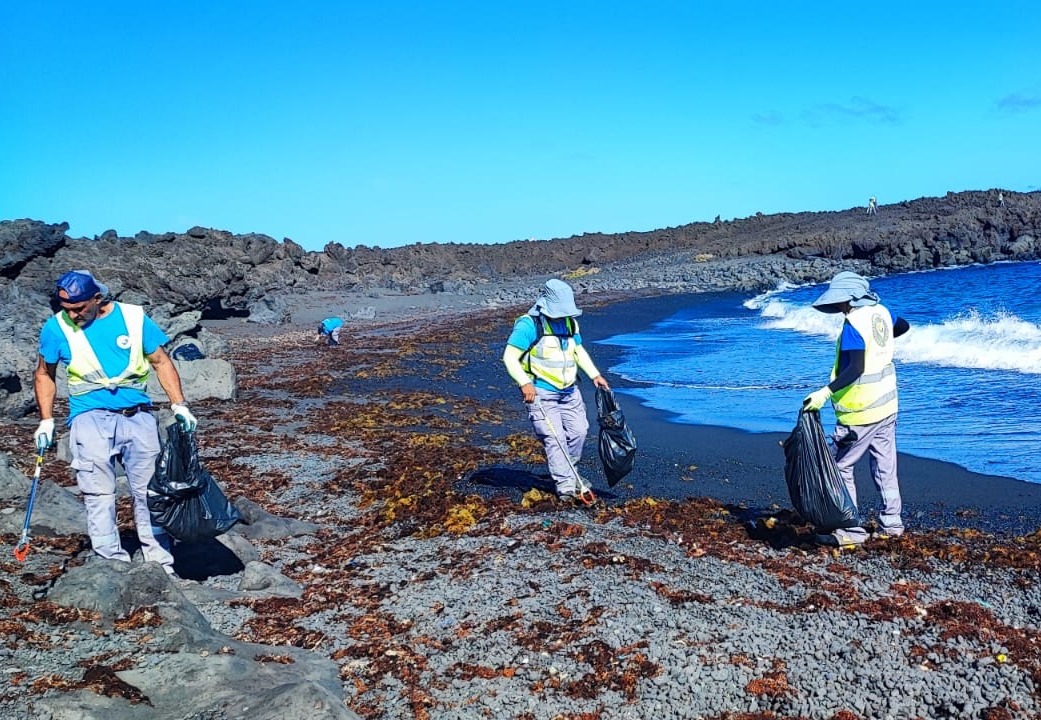 actuaciones actuaciones