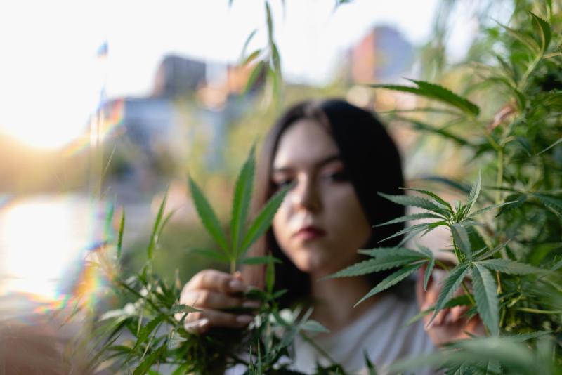 Asociaciones privadas y participación social en España: un modelo en crecimiento