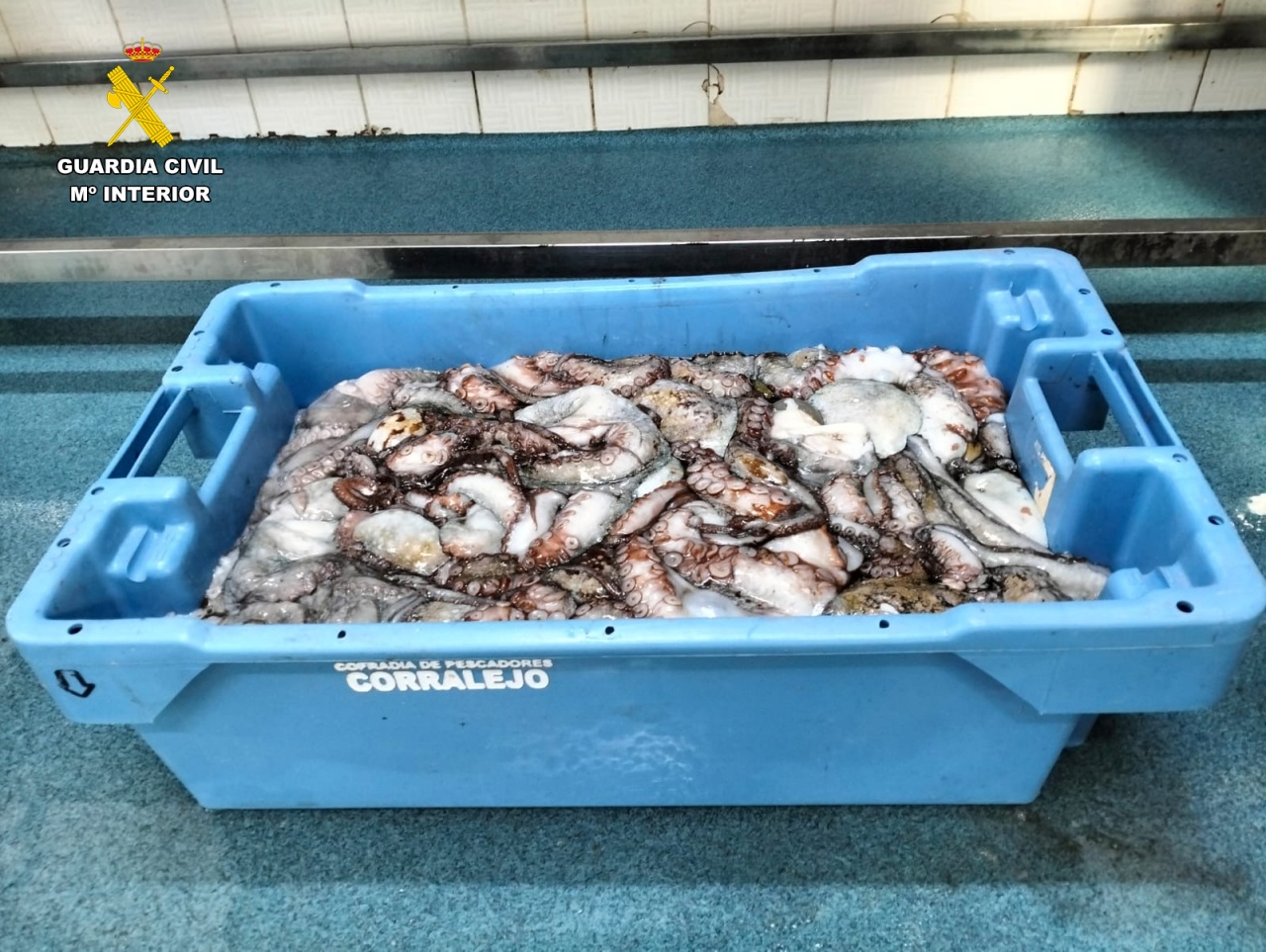 Los agentes sorprendieron a una embarcación en Puerto Calero con una captura veinte veces superior a la permitida