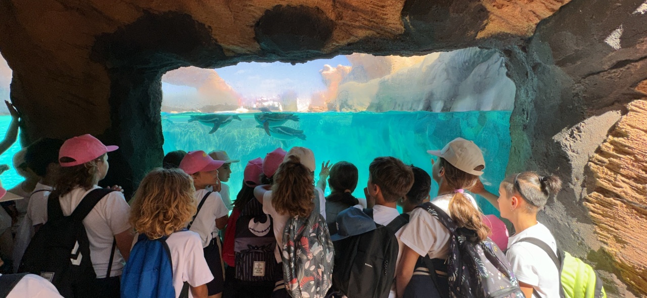 El objetivo es despertar la conciencia oceánica en los más jóvenes, acercando el mar al aula