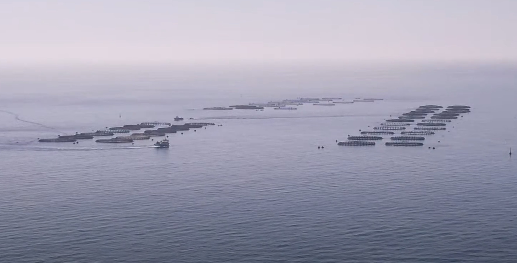 Jaulas acuícolas en Playa Quemada, Lanzarote