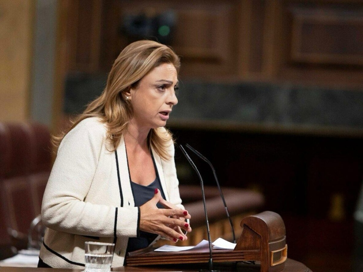 Cristina Valido en el Congreso de los Diputados
