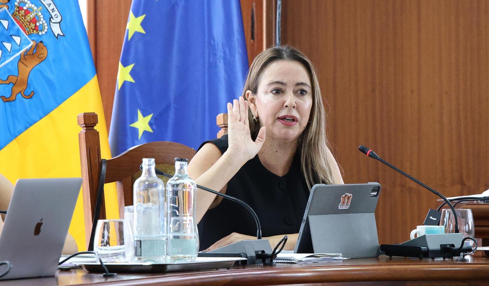  Los socialistas critican la “implantación indiscriminada” de proyectos renovables por el riesgo que suponen para el paisaje y el suelo rústico, aunque evitan pronunciarse sobre otras infraestructuras polémicas en la isla