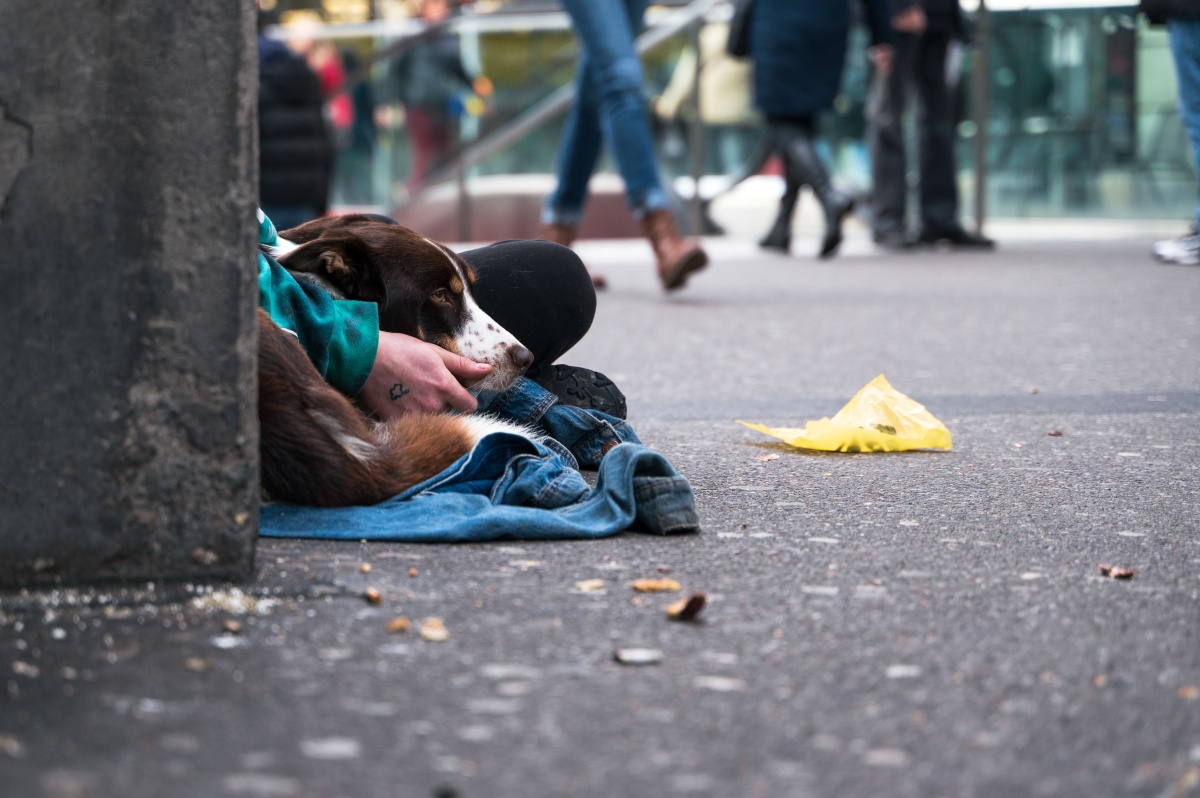 Lanzarote apuesta por la inclusión: 40 plazas más para personas sin hogar durante cinco años