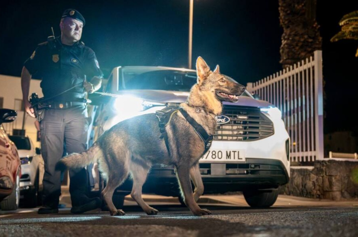 policia vigilancia parques