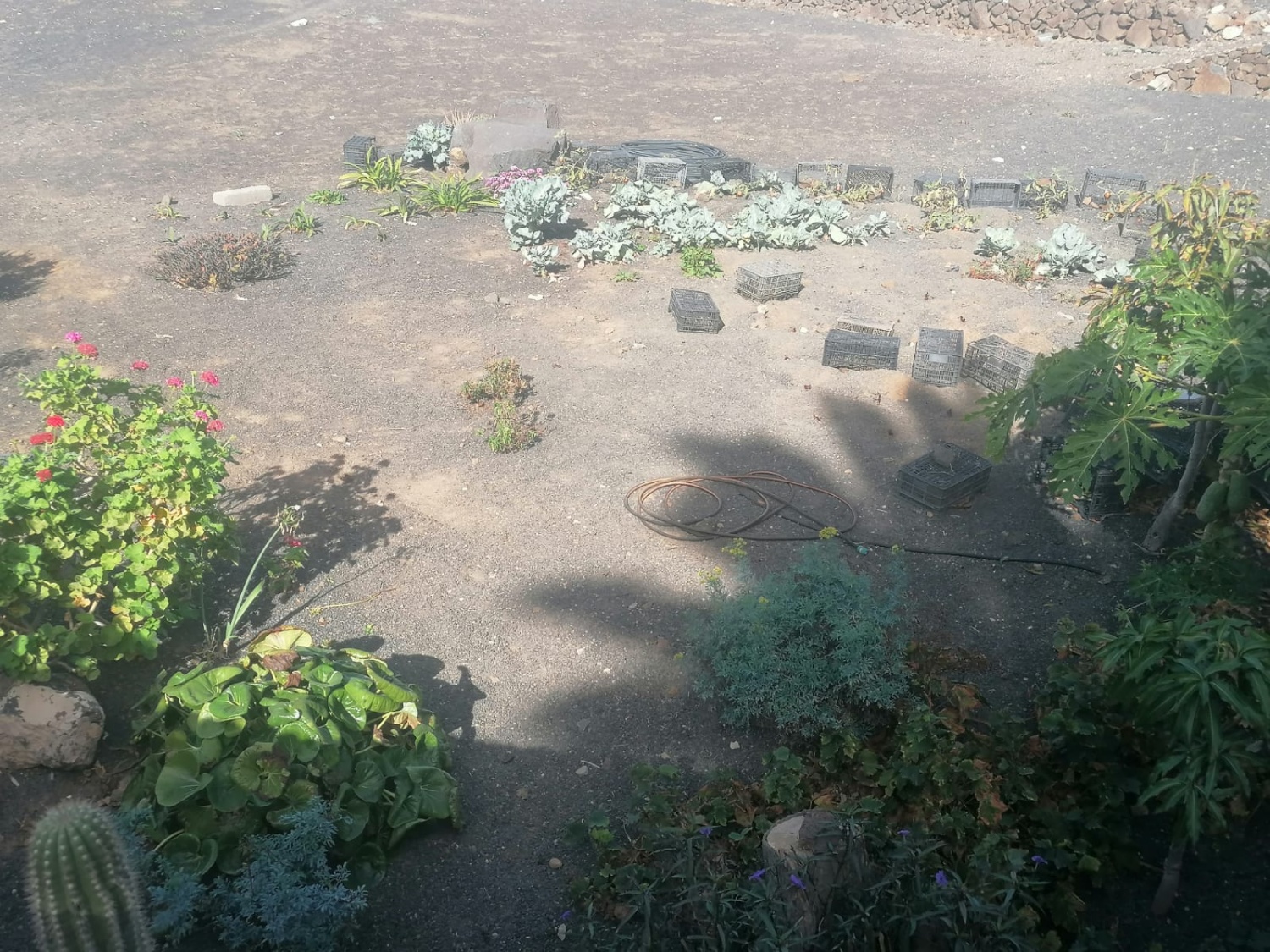 Proyecto Manos al huerto Proyecto Manos al huerto