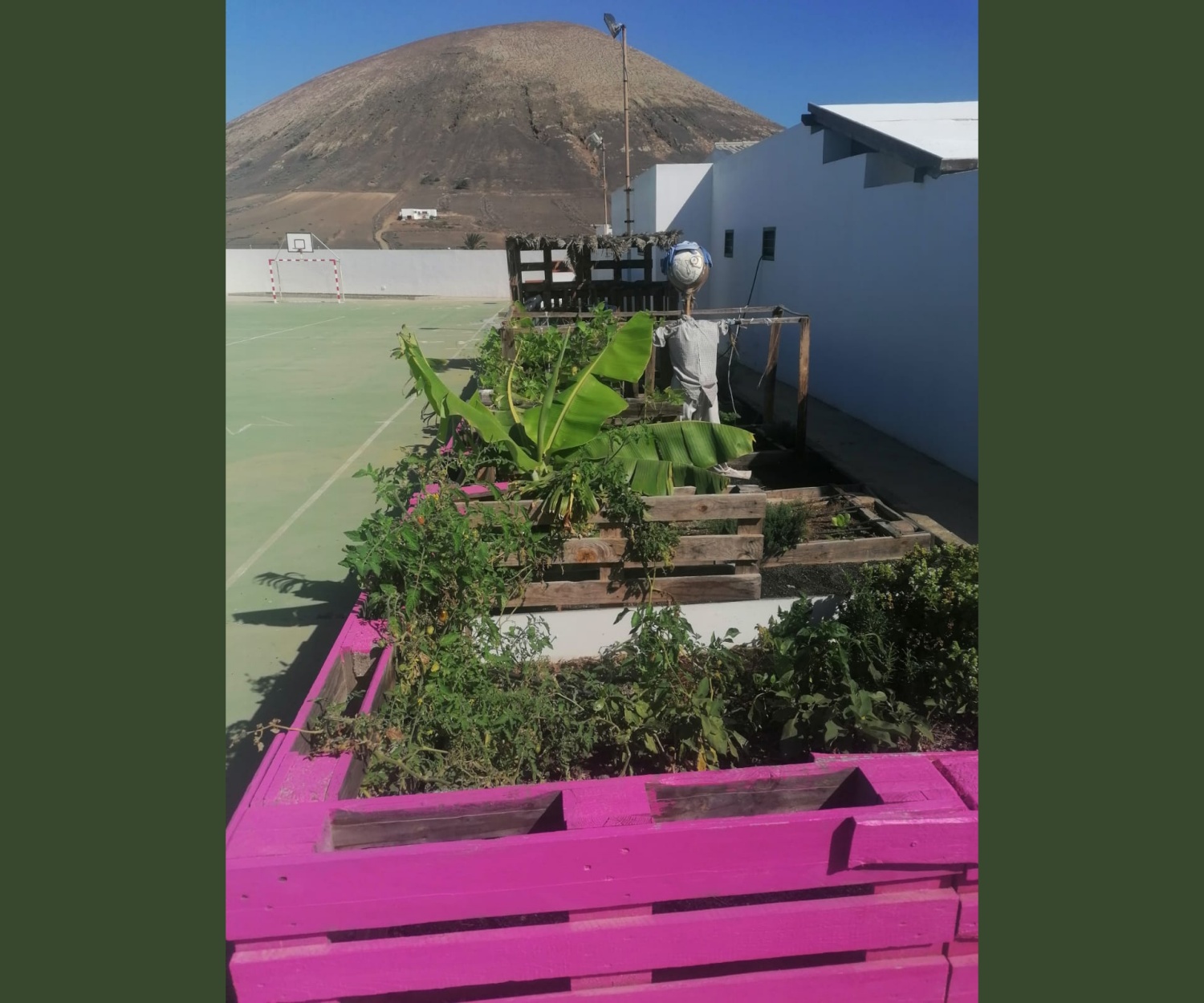 'Manos al huerto', un proyecto que fomenta la enseñanza agrícola