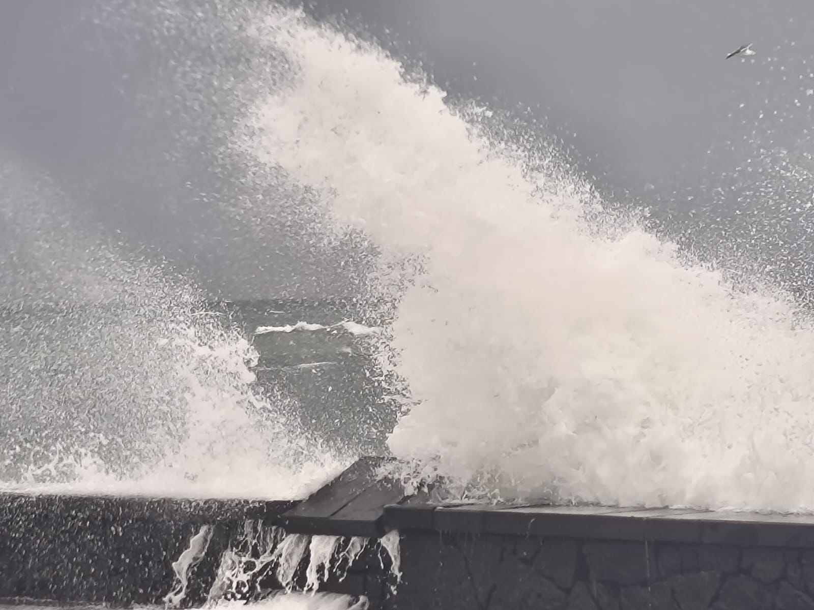 lluvias oleajeç lluvias oleajeç