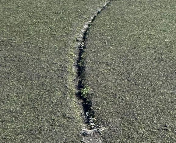 línea levantada del campo de san francisco javier línea levantada del campo de san francisco javier
