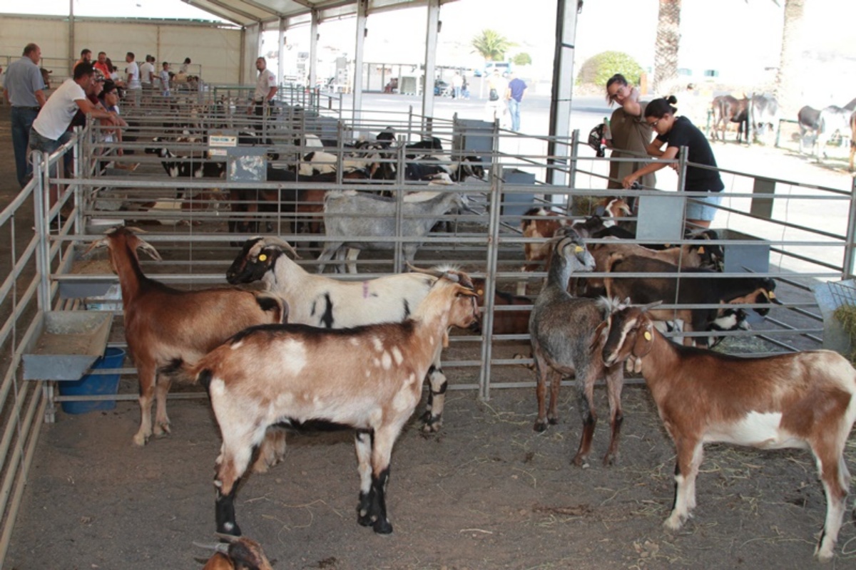 La Institución entregará 246.962 euros a un total de 85 explotaciones ganaderas