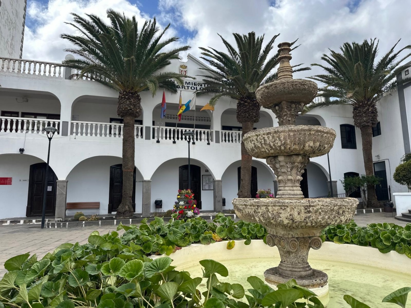 Gracias al éxito del programa de Captura, Esterilización y Retorno se han censado más de 500 gatos comunitarios en 69 colonias Gracias al éxito del programa de Captura, Esterilización y Retorno se han censado más de 500 gatos comunitarios en 69 colonias