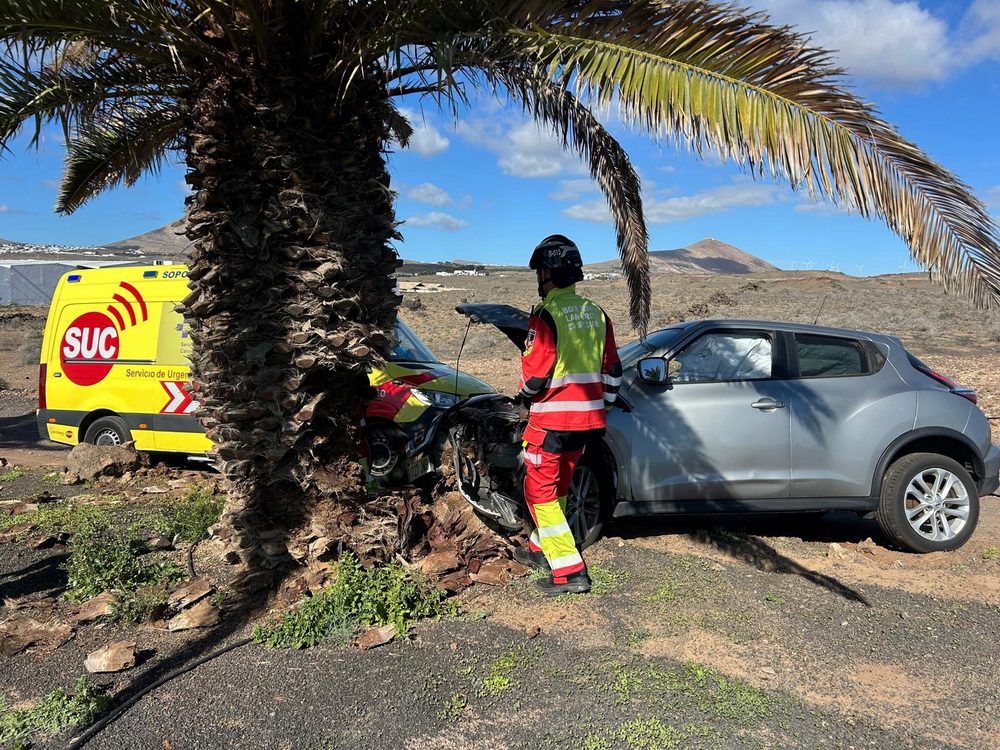 Vehiculo contra palmera 1 Vehiculo contra palmera 1