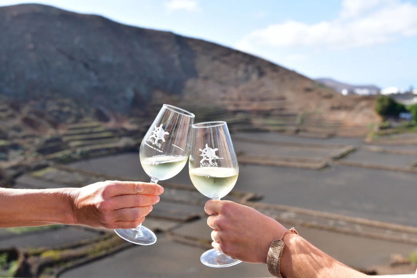 Vino de Lanzarote Vino de Lanzarote