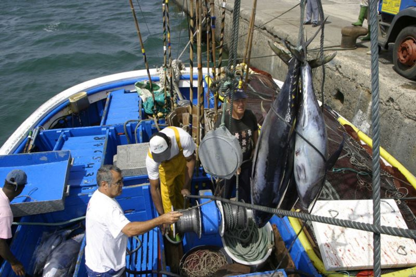 Canarias se puede quedar sin atún