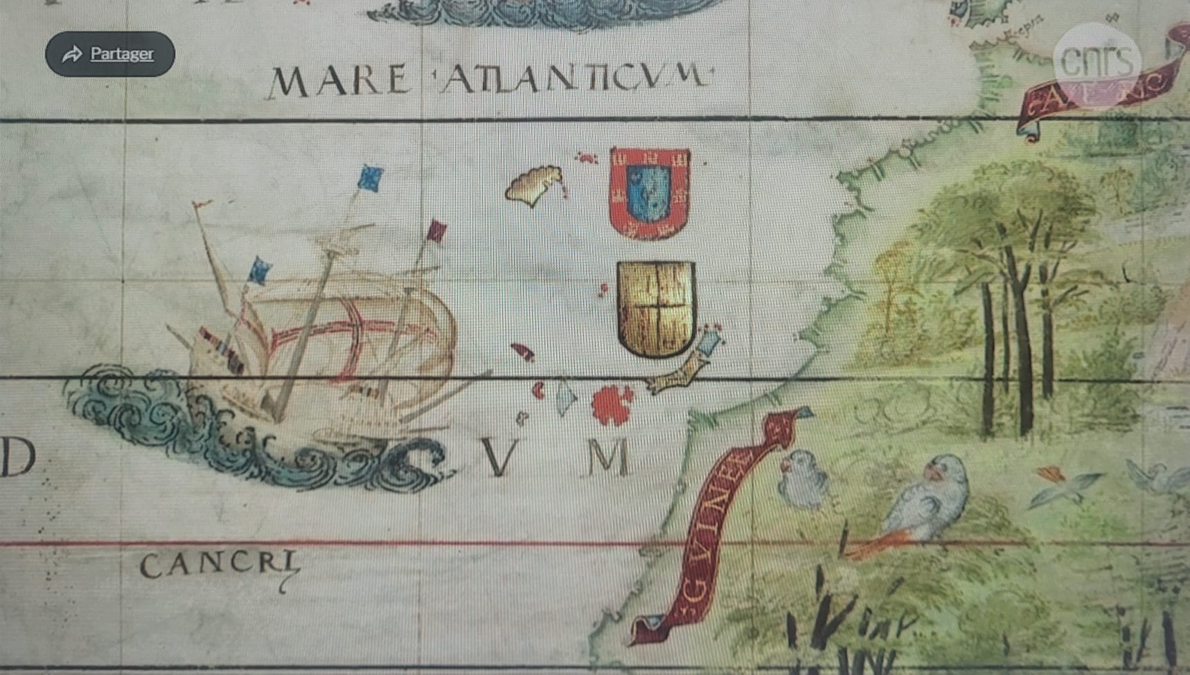 El Atlántico con la cruz de Génova: cómo Malocello y los cartógrafos redibujaron el mundo