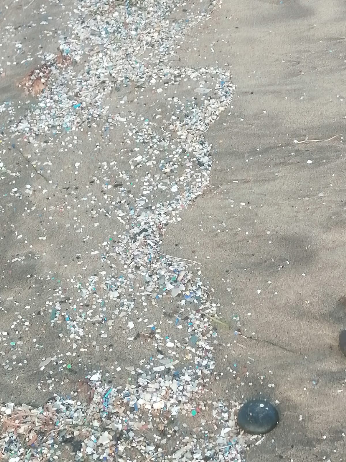 basura en Famara en la costa basura en Famara en la costa