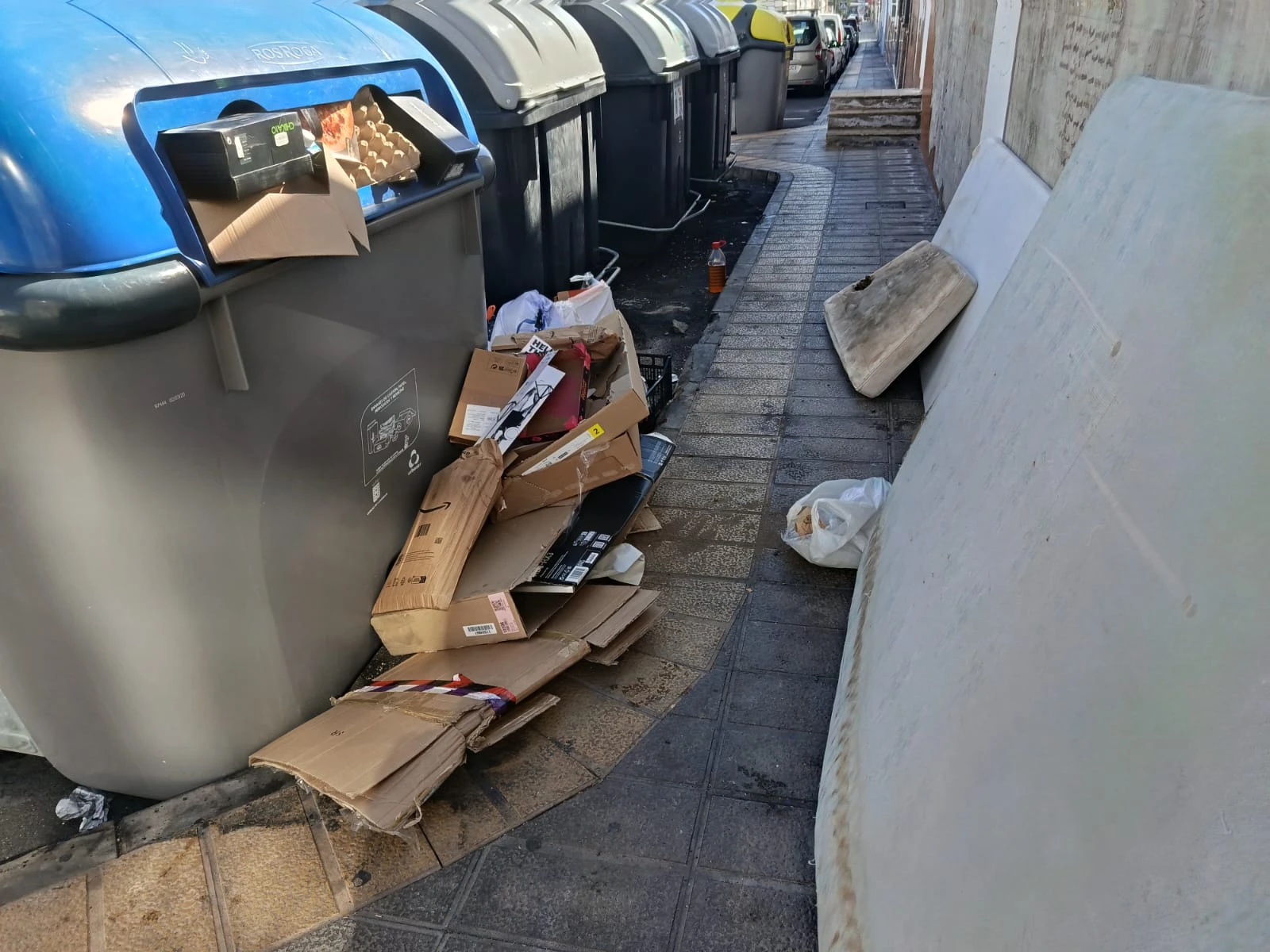 Vecinos de La Vega denuncian acumulación de basura en la calle ...