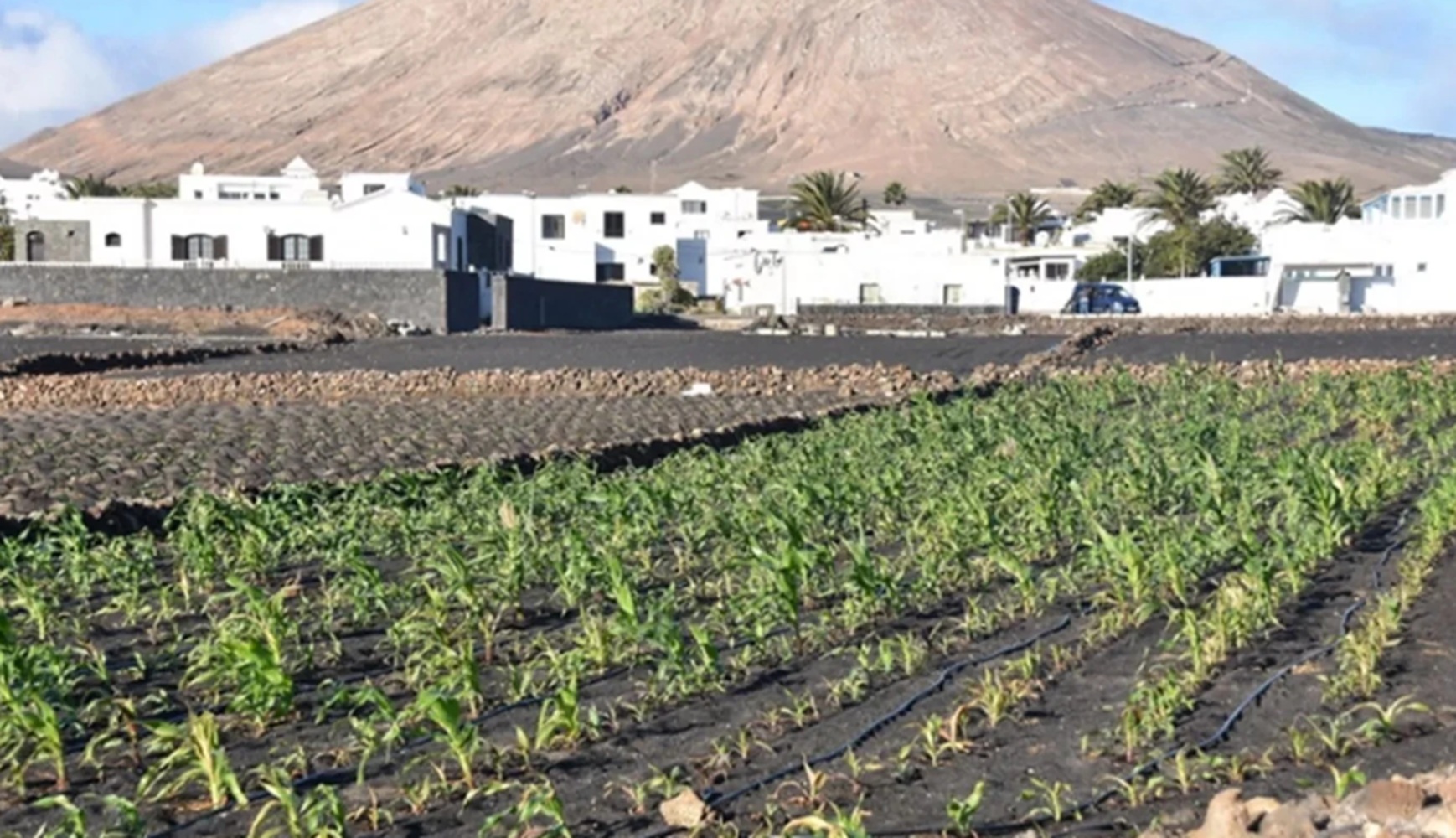 Campo de Lanzarote