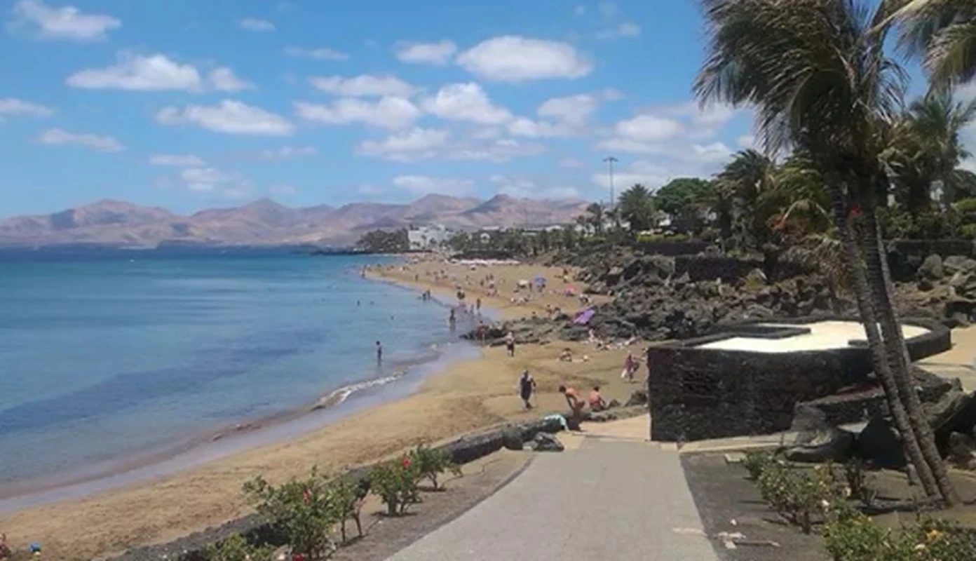 Pide a la Secretaría General y a los servicios jurídicos municipales que determinen la legalidad de la participación en las votaciones y la validez de los acuerdos Pide a la Secretaría General y a los servicios jurídicos municipales que determinen la legalidad de la participación en las votaciones y la validez de los acuerdos