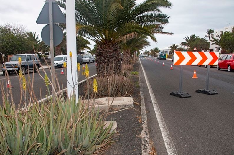 Jardines Costa Teguise