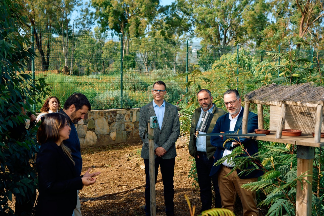 Los bosques canarios tienen alas