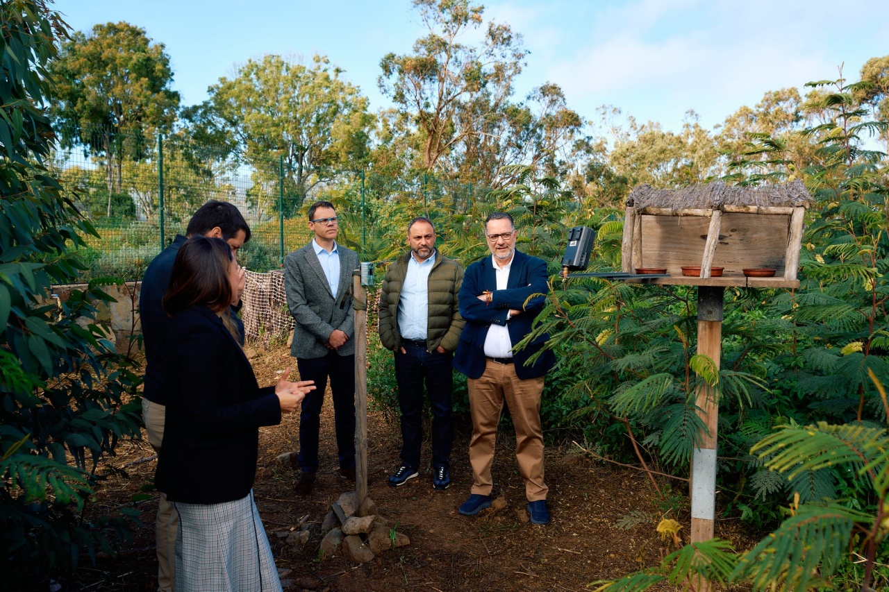 Los bosques canarios tienen alas