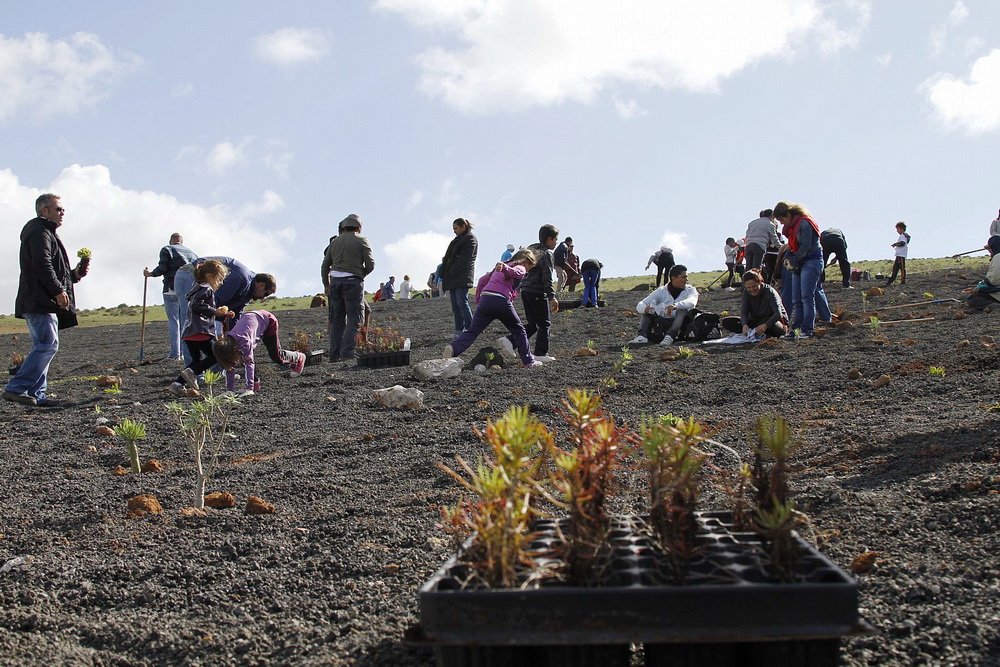 Proyectos humanitarios Lanzarote