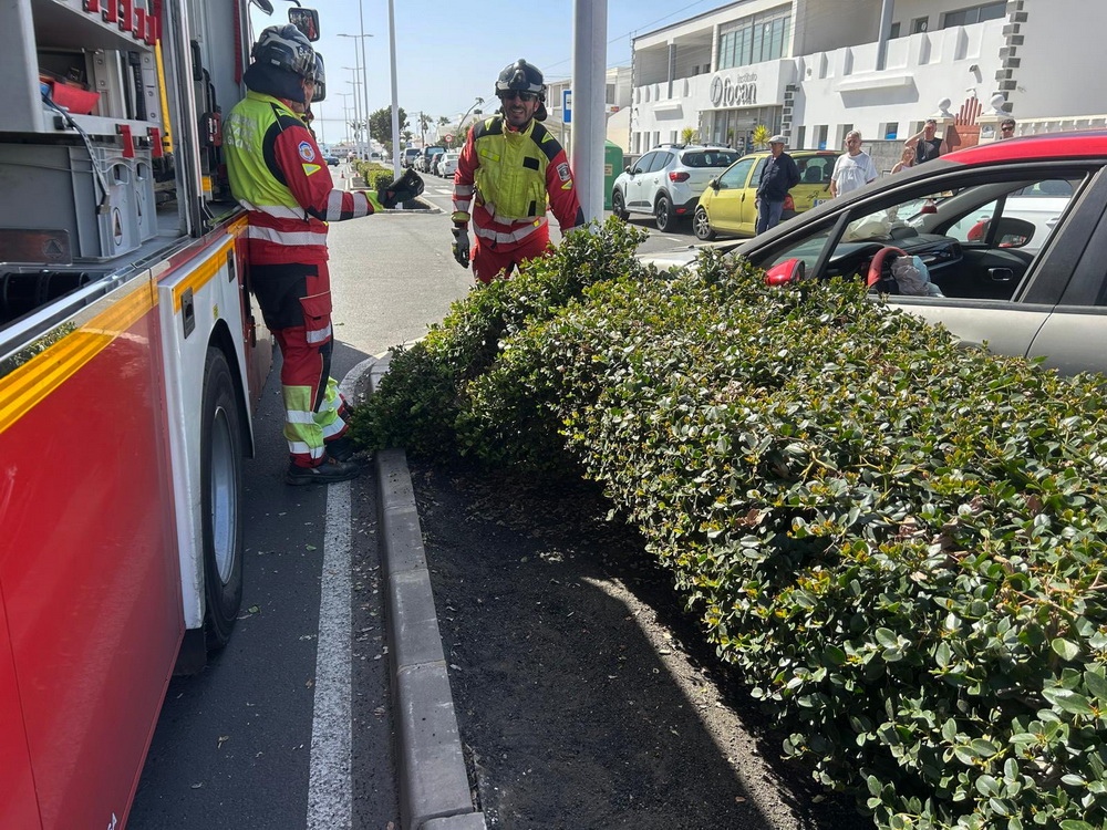 Trafico con atrapado San Bartolome1 Trafico con atrapado San Bartolome1