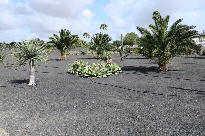 La paralización del contrato retrasa un servicio esencial para la ciudad y genera un coste económico estimado entre 223.000 y 237.000 euros en nueva tramitación La paralización del contrato retrasa un servicio esencial para la ciudad y genera un coste económico estimado entre 223.000 y 237.000 euros en nueva tramitación