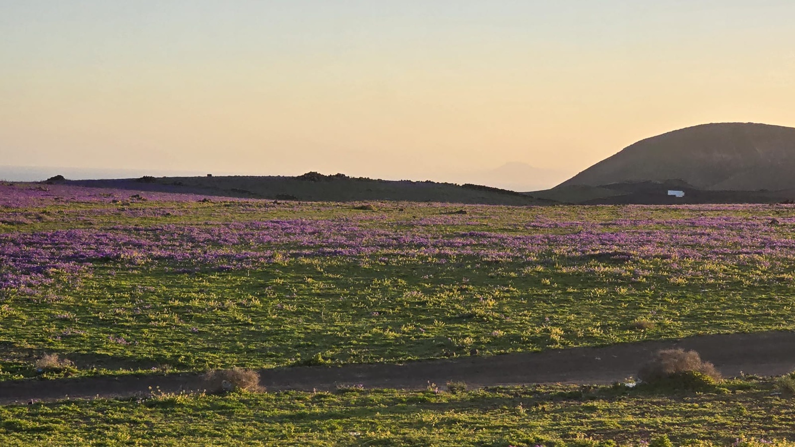 Noticias de Lanzarote y La Graciosa