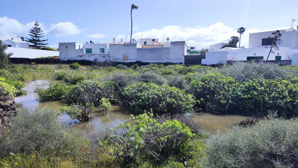 Achique de agua en Tahiche